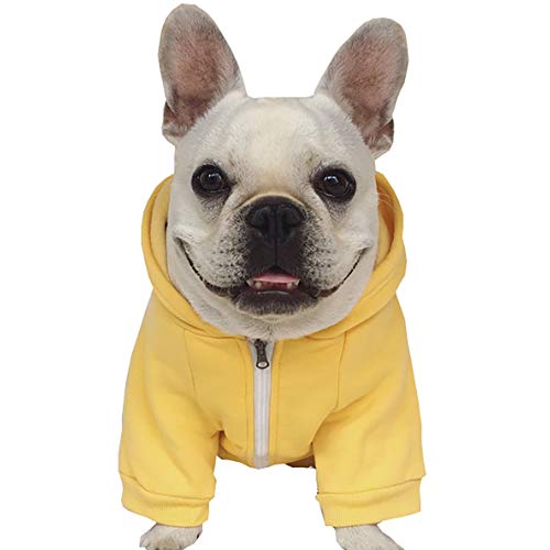 Keep your french bulldog warm