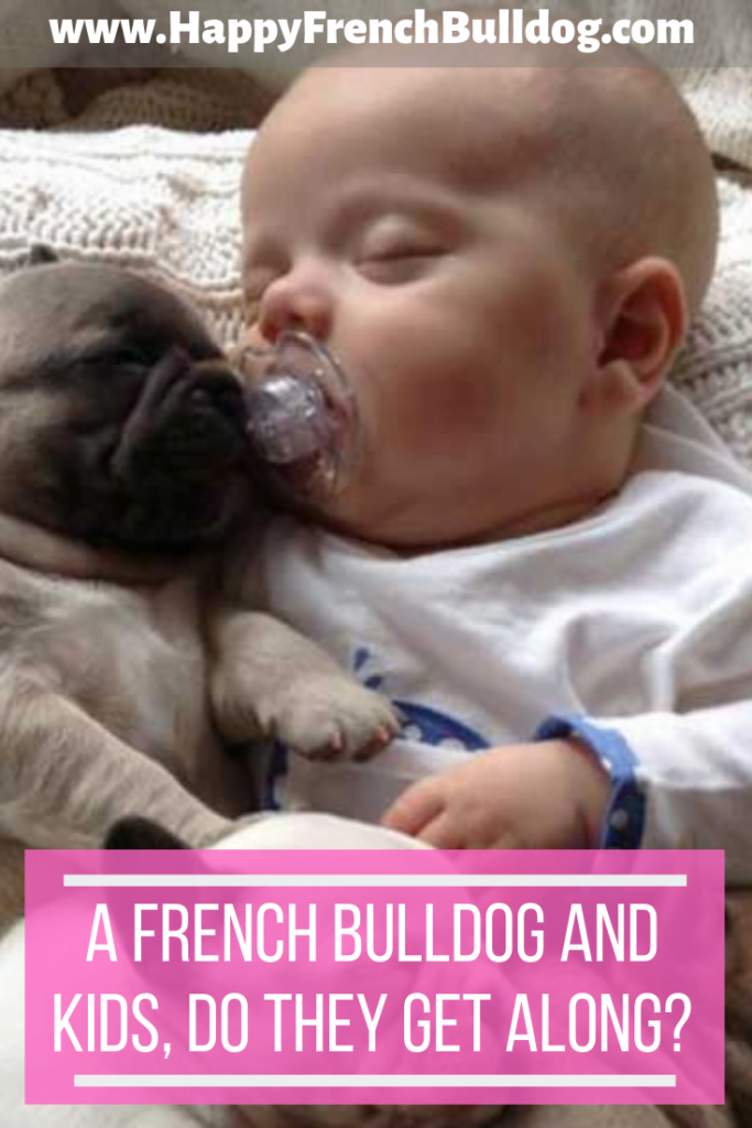 A French Bulldog And Kids 