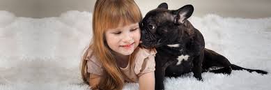 French bulldog and child