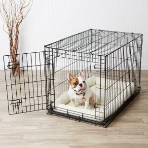 French Bulldog Crate Training - The ultimate guide - Happy French Bulldog