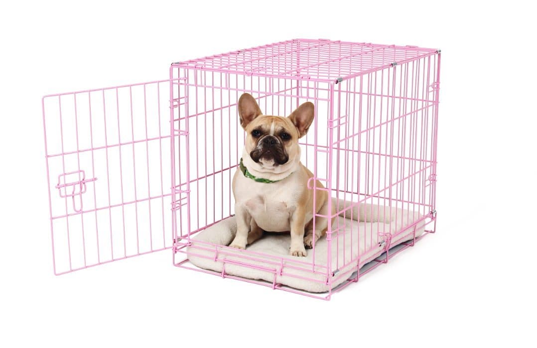 French Bulldog Crate Training - The ultimate guide - Happy French Bulldog