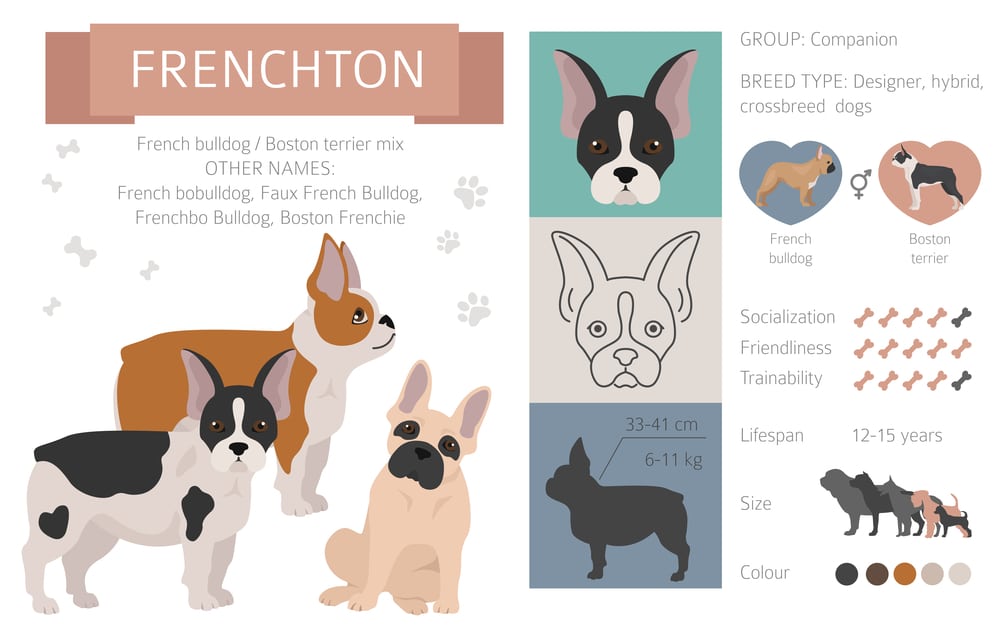 Frenchton mix