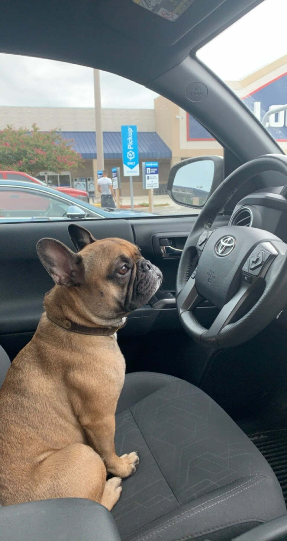 Charlie learning to drive