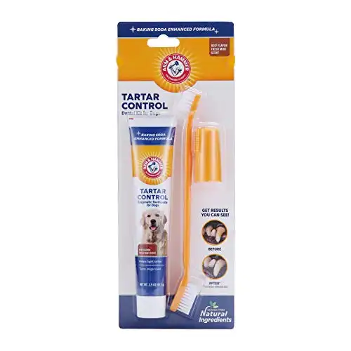 Arm & hammer for pets tartar control kit for dogs | contains toothpaste, toothbrush & fingerbrush | reduces plaque & tartar buildup | safe for puppies, 3-piece kit, beef flavor