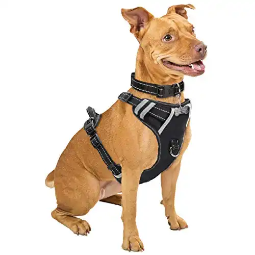 Winsee dog harness no pull, pet harnesses with dog collar, adjustable reflective oxford outdoor vest, front/back leash clips for small, medium, large, extra large dogs, easy control handle for walking