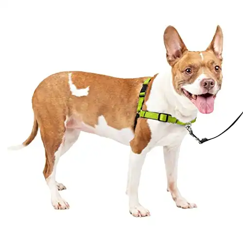 Petsafe deluxe easy walk dog harness - martingale loop with d-ring stops pulling - training & behavior aid - reflectivity enhances visibility in low light - comfortable padding