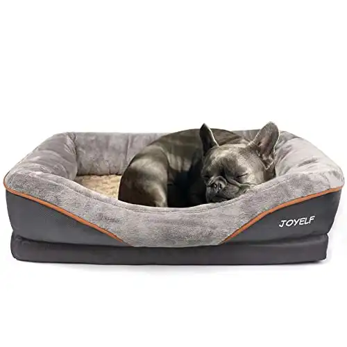 Joyelf medium memory foam dog bed orthopedic dog bed & sofa with removable washable cover and squeaker toy as gift