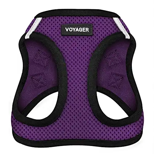 Voyager Step-in Air Dog Harness - All Weather Mesh Step-in Vest Harness for Small and Medium Dogs Best Pet Supplies - Purple Base Medium