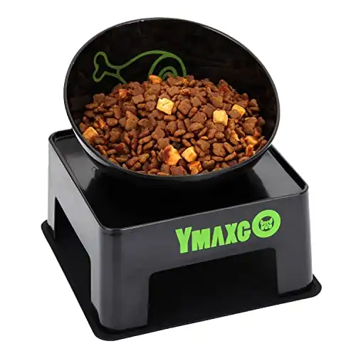 Ymaxgo food feeding bowl for french bulldog/cat, non-slip design