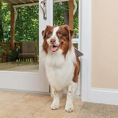 Petsafe 1-piece sliding glass pet door for dogs & cats - adjustable height, no-cut install, aluminum patio panel insert, great for renters