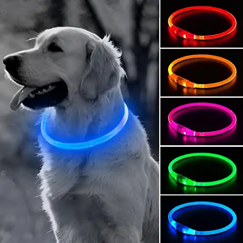 Bseen light up dog collar - rechargeable led puppy collar