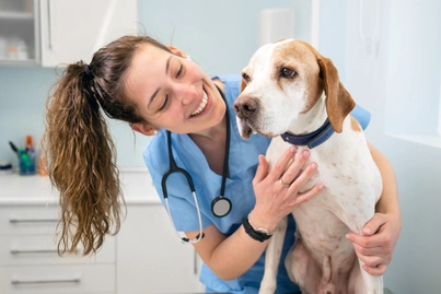 Chat online with a veterinarian